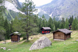 Schweiziska Val Ferret